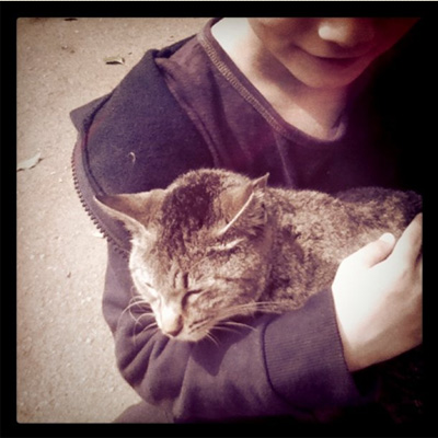 cat&ryo.jpg